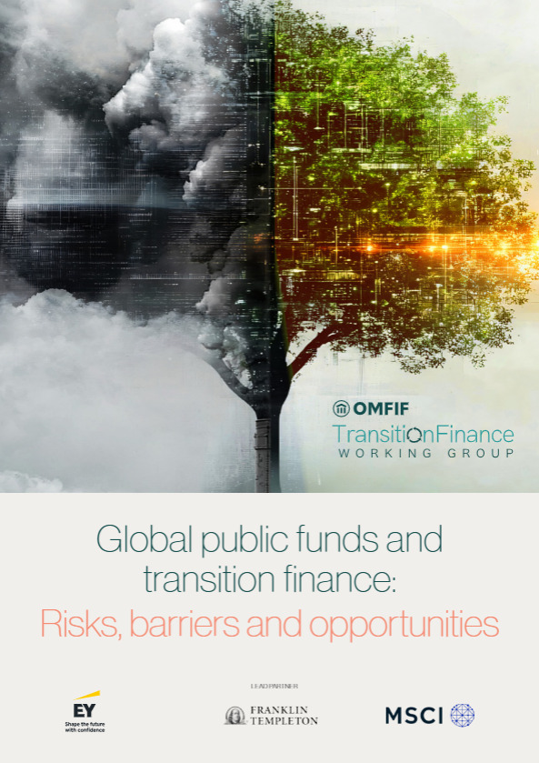 Global public funds and transition finance